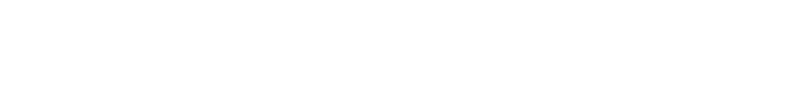 FrankWebStudio Logo